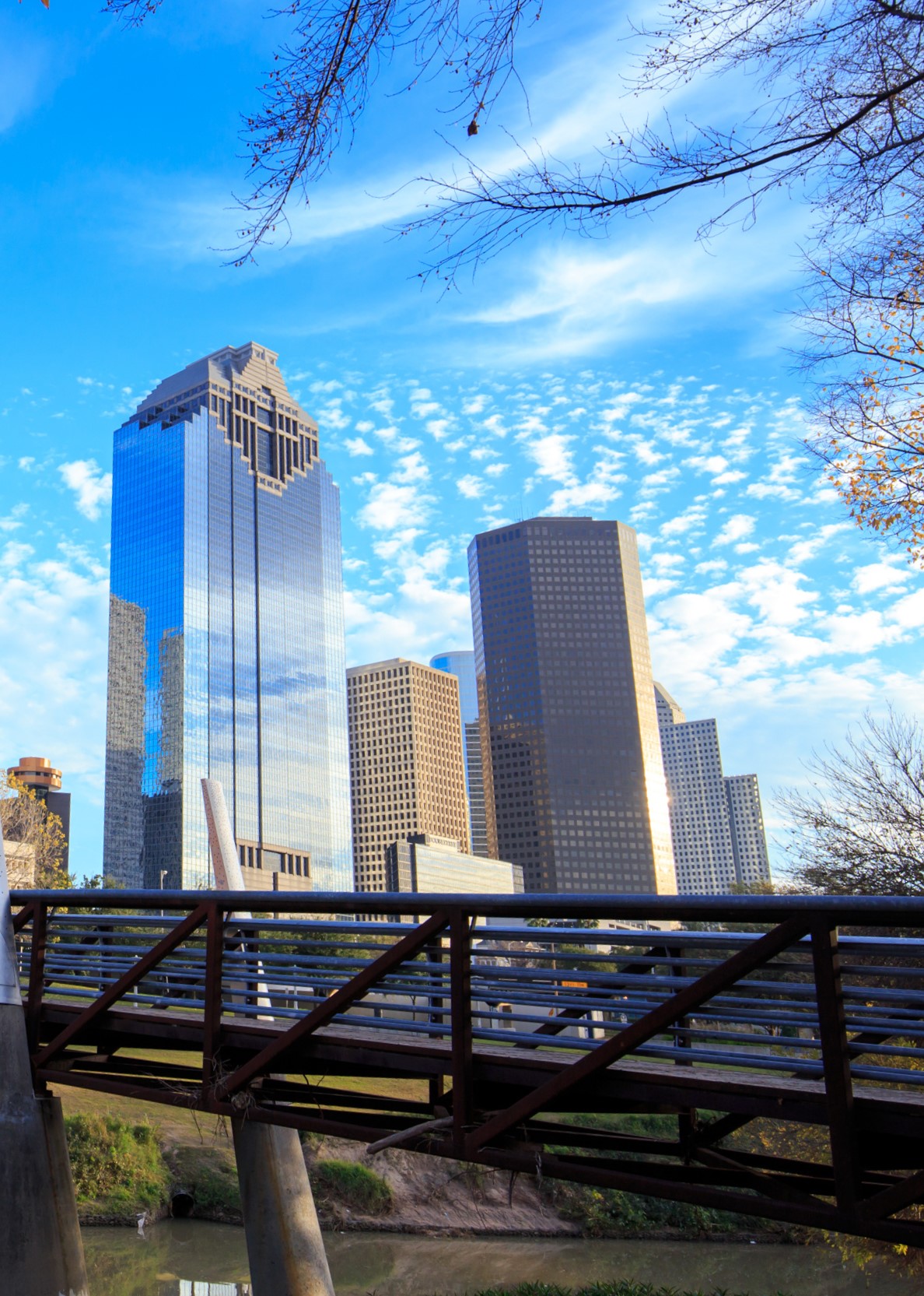 Houston Texas Skyline with modern skyscrapers and blue sky view from park