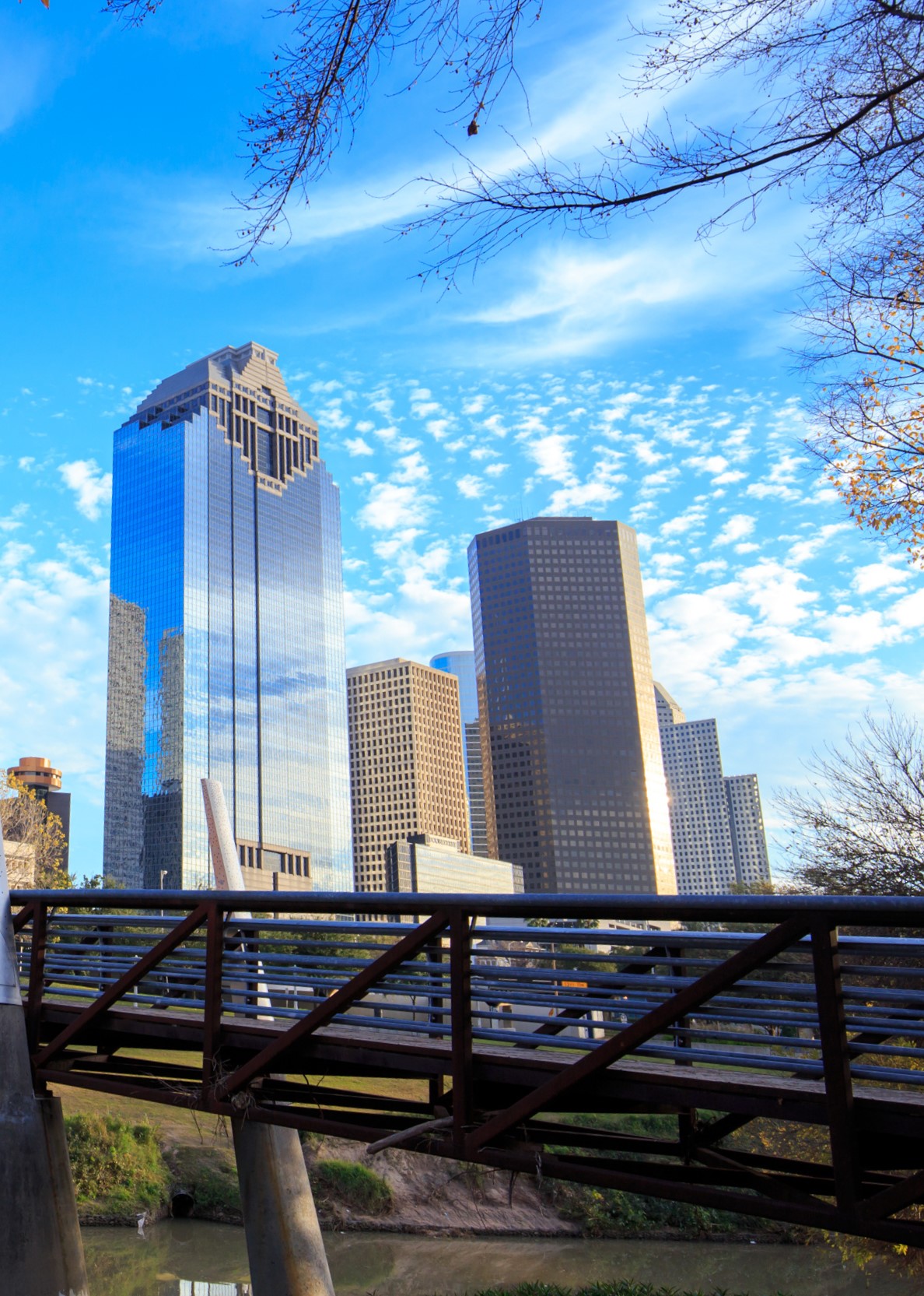Houston Texas Skyline with modern skyscrapers and blue sky view Houston Texas Skyline with modern skyscrapers and blue sky view from park